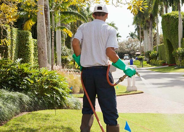 About Vincent AL Pest Control Pros